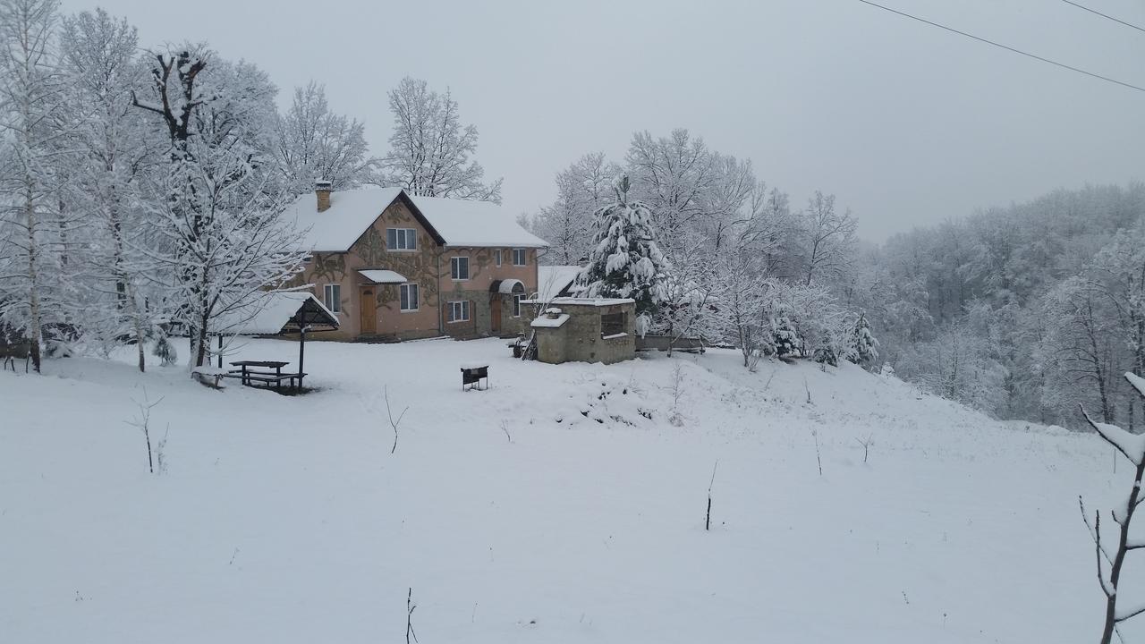 Fazenda Kosiv Hotel Екстериор снимка